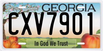 GA license plate CXV7901