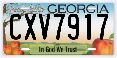 GA license plate CXV7917