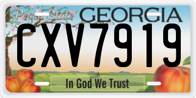 GA license plate CXV7919
