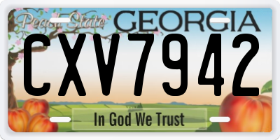 GA license plate CXV7942