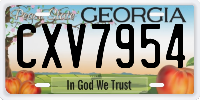 GA license plate CXV7954