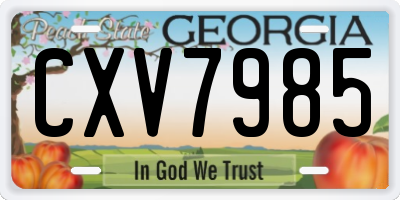 GA license plate CXV7985