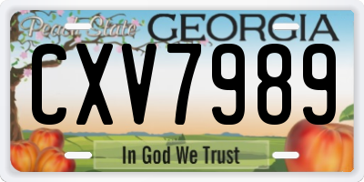GA license plate CXV7989
