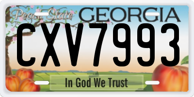 GA license plate CXV7993
