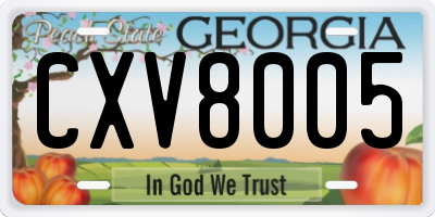 GA license plate CXV8005