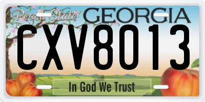GA license plate CXV8013