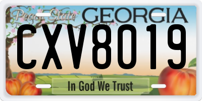 GA license plate CXV8019