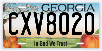GA license plate CXV8020