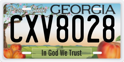 GA license plate CXV8028