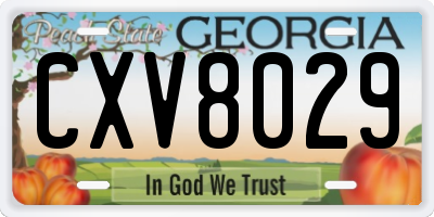 GA license plate CXV8029