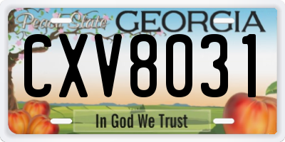 GA license plate CXV8031