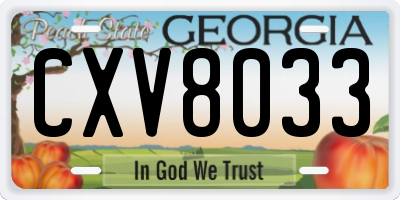 GA license plate CXV8033