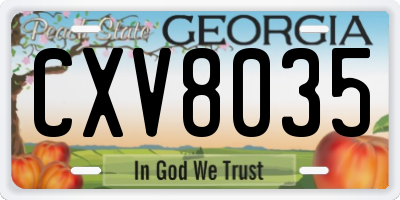 GA license plate CXV8035