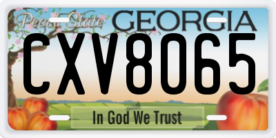 GA license plate CXV8065