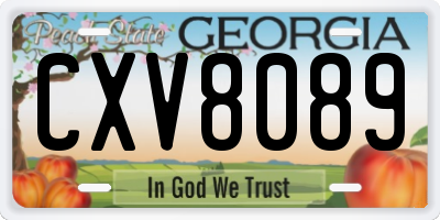 GA license plate CXV8089