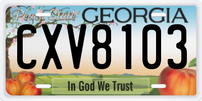 GA license plate CXV8103