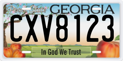 GA license plate CXV8123