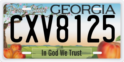 GA license plate CXV8125