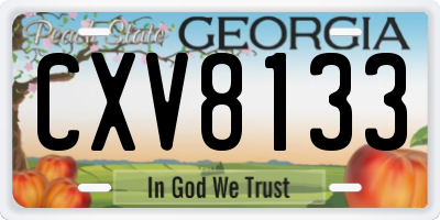 GA license plate CXV8133