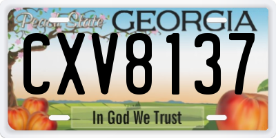 GA license plate CXV8137