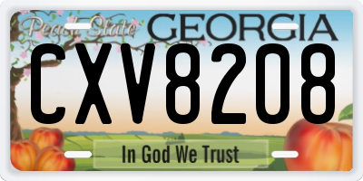 GA license plate CXV8208