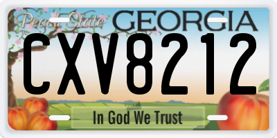 GA license plate CXV8212