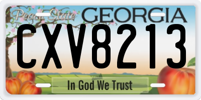 GA license plate CXV8213