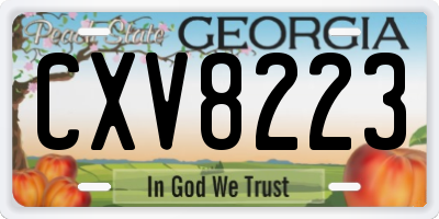 GA license plate CXV8223