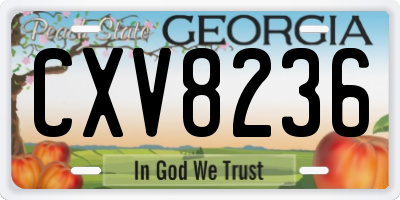 GA license plate CXV8236