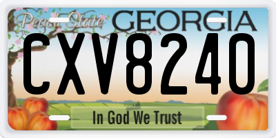 GA license plate CXV8240