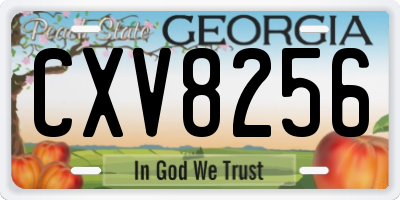 GA license plate CXV8256
