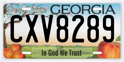 GA license plate CXV8289