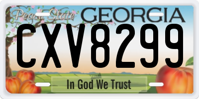 GA license plate CXV8299