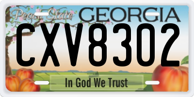 GA license plate CXV8302