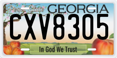 GA license plate CXV8305