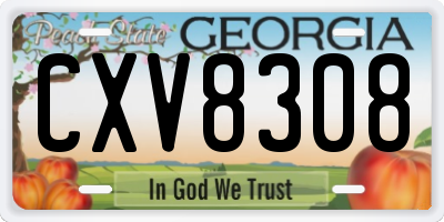 GA license plate CXV8308