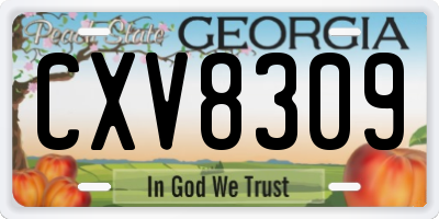 GA license plate CXV8309