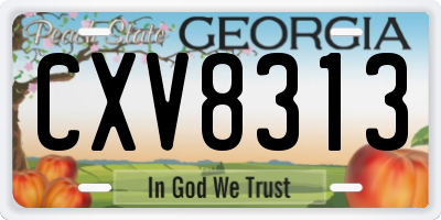 GA license plate CXV8313