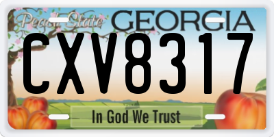 GA license plate CXV8317
