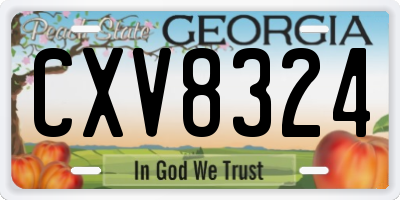 GA license plate CXV8324