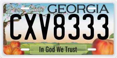 GA license plate CXV8333