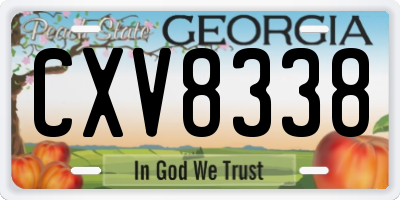GA license plate CXV8338