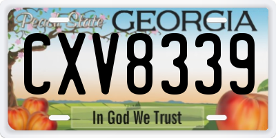 GA license plate CXV8339