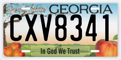GA license plate CXV8341