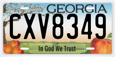 GA license plate CXV8349