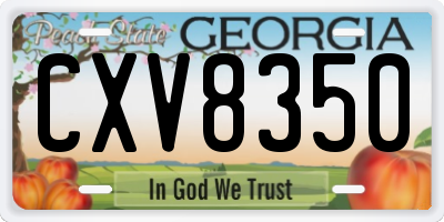 GA license plate CXV8350