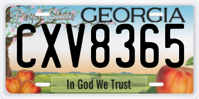 GA license plate CXV8365