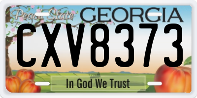 GA license plate CXV8373