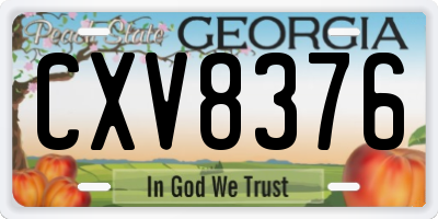 GA license plate CXV8376