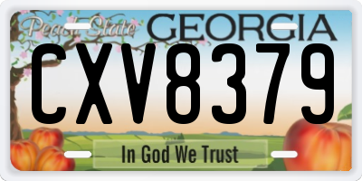 GA license plate CXV8379